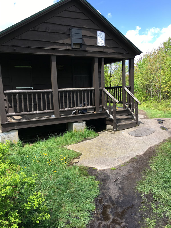 Fire Observer's cabin