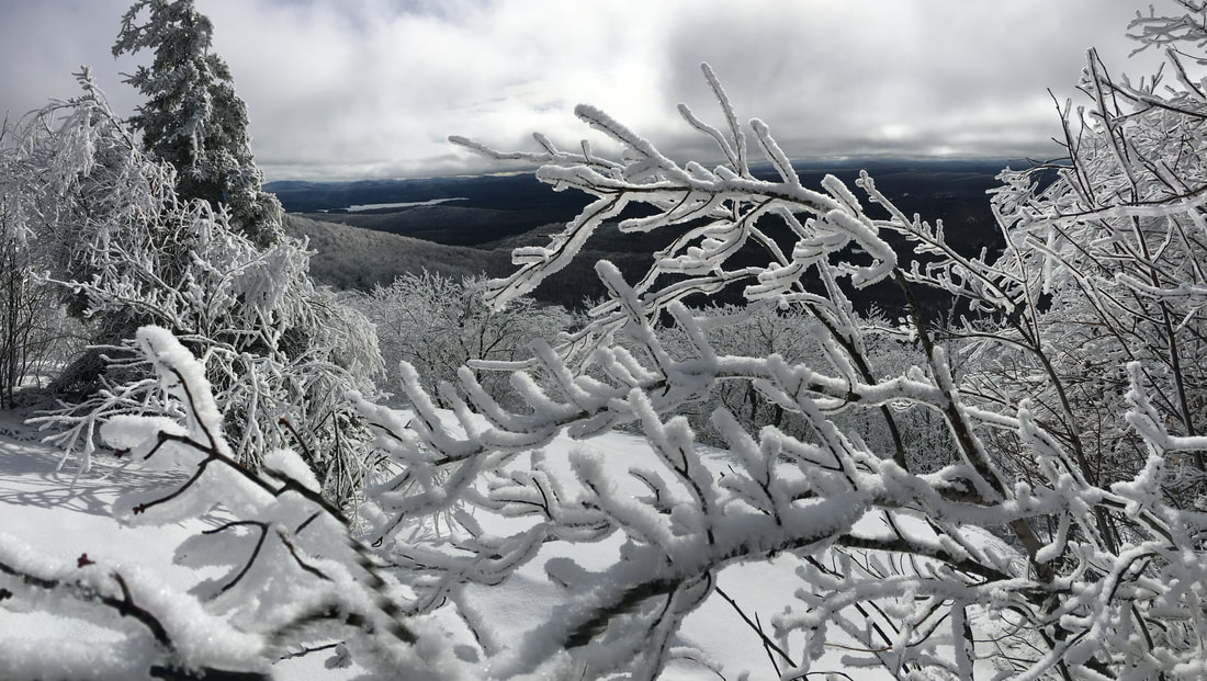 Icy view